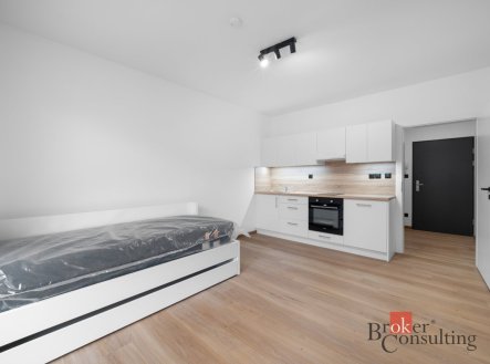 Pronájem bytu, 1+kk, 23 m²