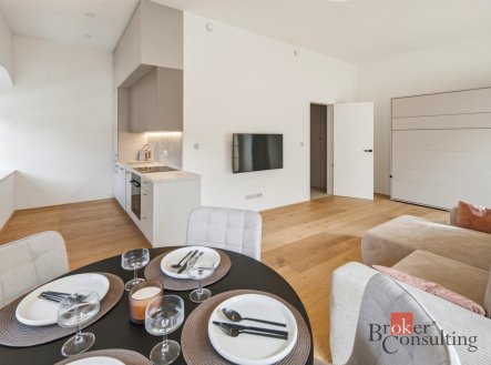 Pronájem bytu, 1+kk, 48 m²