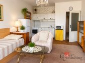 Prodej bytu, 1+kk, 35 m²