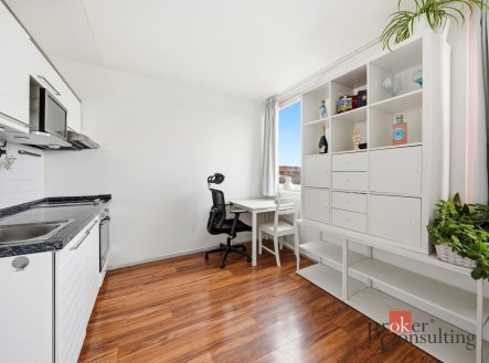 Prodej bytu, 1+kk, 30 m²