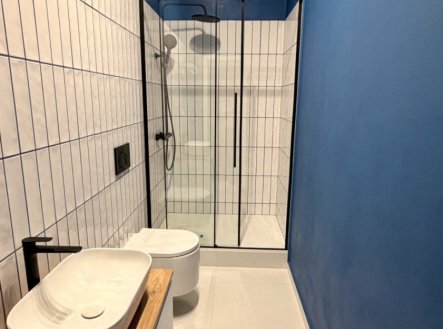Pronájem bytu, 1+kk, 57 m²