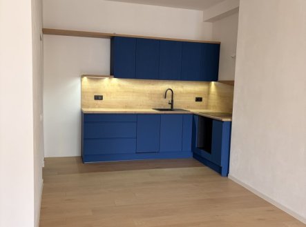 Pronájem bytu, 1+kk, 57 m²