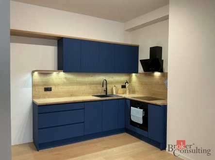 Pronájem bytu, 1+kk, 57 m²