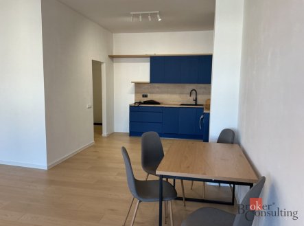 Pronájem bytu, 1+kk, 57 m²