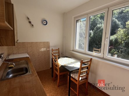 Pronájem bytu, 1+1, 37 m²