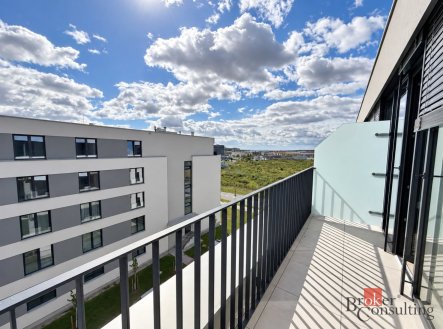 Pronájem bytu, 2+kk, 52,39 m²