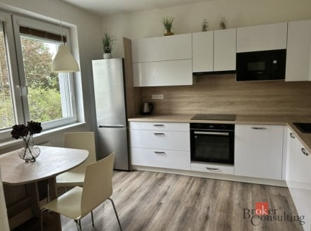 Pronájem bytu, 1+1, 39,18 m²