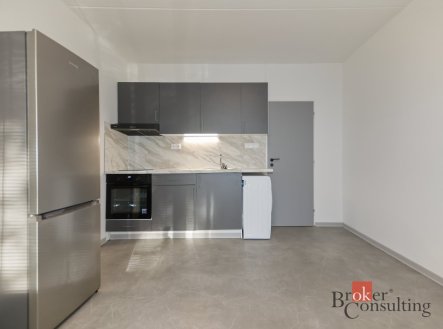 Pronájem bytu, 1+1, 36 m²