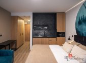 Prodej bytu, 1+kk, 31 m²