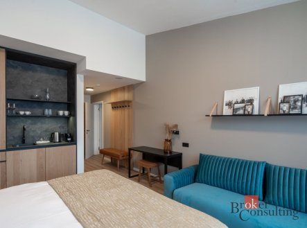 Prodej bytu, 1+kk, 30,8 m²