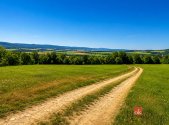 Prodej pozemku, trvalý travní porost, 3 075 m²
