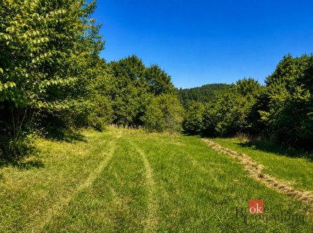 Prodej pozemku, trvalý travní porost, 3 075 m²