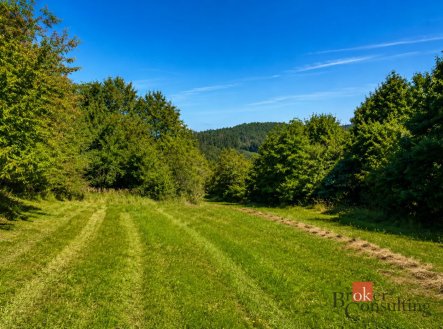 Prodej pozemku, trvalý travní porost, 3 075 m²