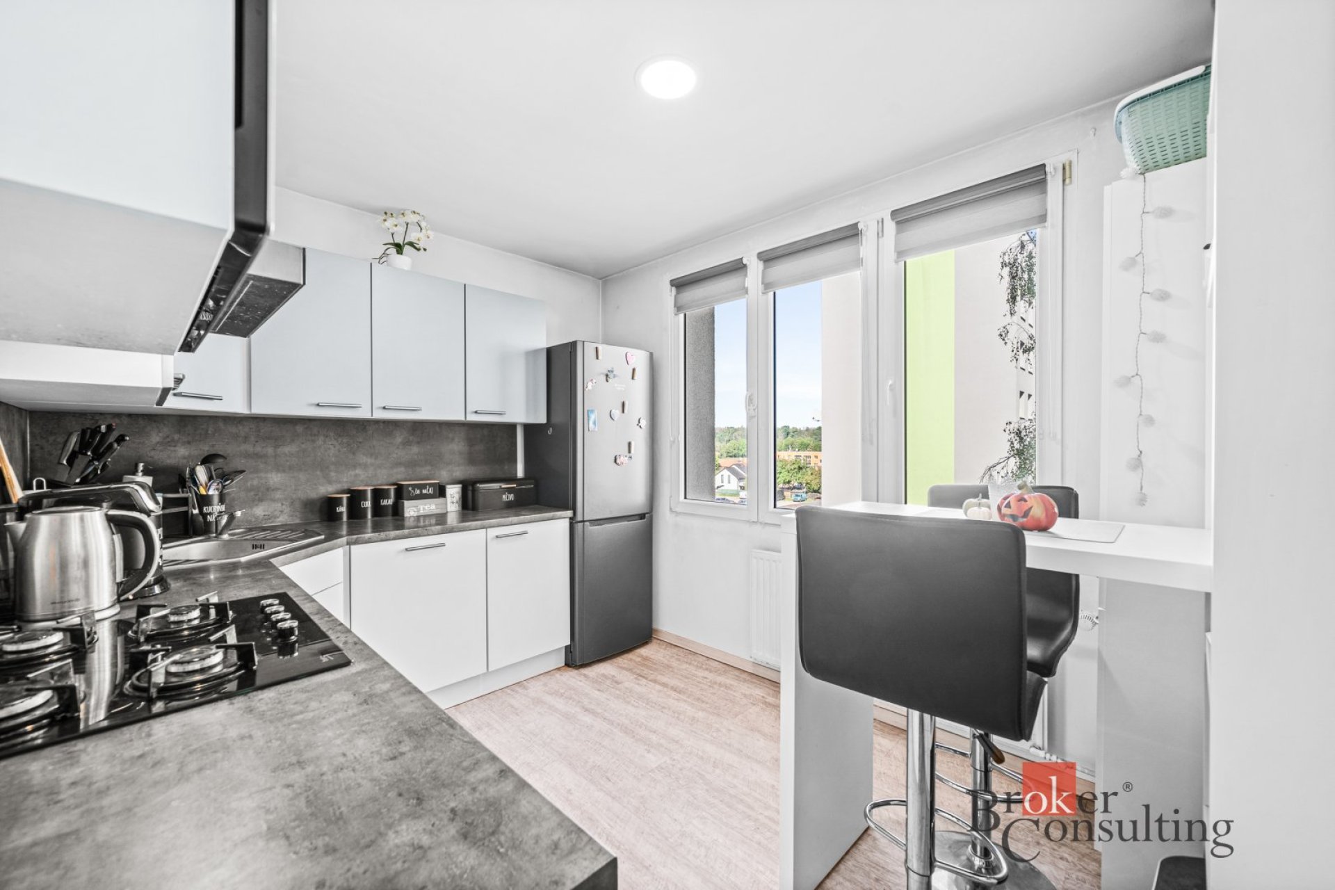 Prodej, byty/3+1, 70 m2, Loudů 951, 33441 Dobřany, Plzeň-jih [ID 90719]