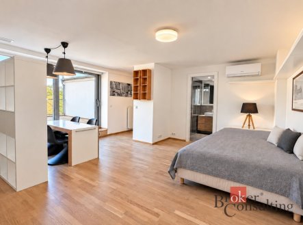 Pronájem bytu, 1+kk, 46 m²