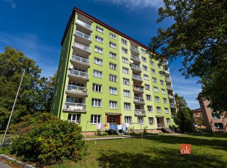 Prodej bytu, 1+kk, 20 m²