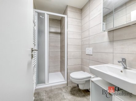 Pronájem bytu, 1+kk, 36 m²