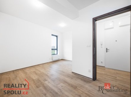 Pronájem bytu, 1+kk, 43 m²