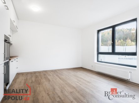 Pronájem bytu, 1+kk, 43 m²