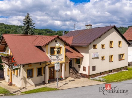 Prodej domu/vily, 487 m²