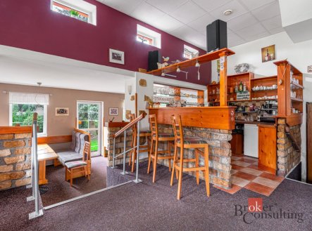 Prodej domu/vily, 487 m²