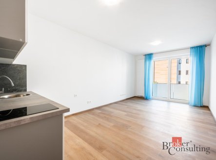 Pronájem bytu, 1+kk, 31 m²