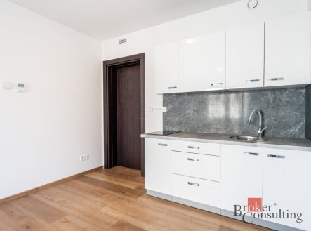 Pronájem bytu, 1+kk, 31 m²