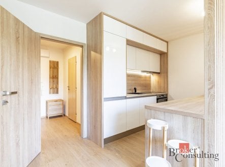 Prodej bytu, 1+kk, 33 m²