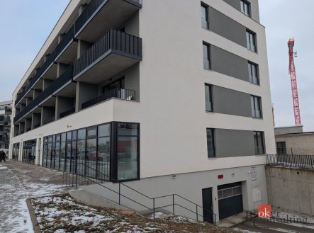 Pronájem