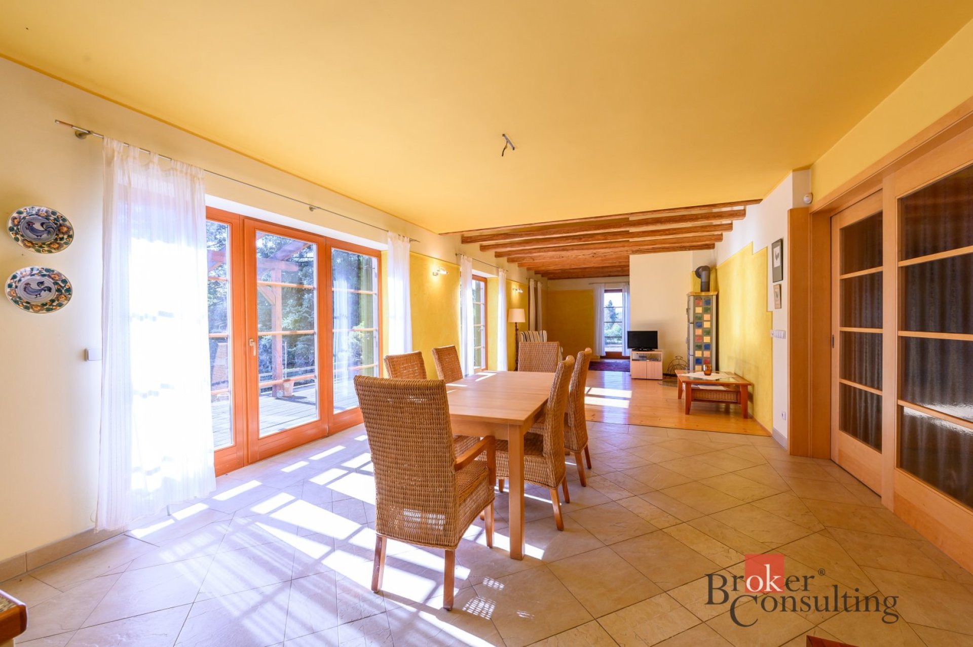 Prodej, rodinný dům 4+kk, 4839 m2, Olšany