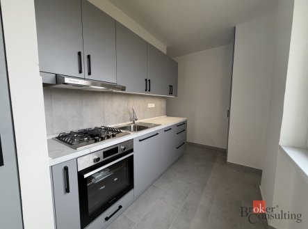 Pronájem bytu, 2+1, 53 m²