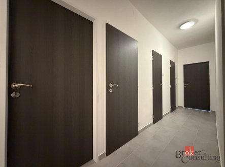 Pronájem bytu, 2+1, 53 m²