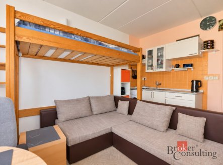 Pronájem bytu, 1+kk, 20 m²