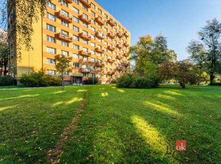 Pronájem bytu, 3+1, 65,1 m²