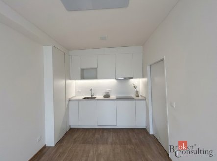 Pronájem bytu, 1+kk, 33,41 m²