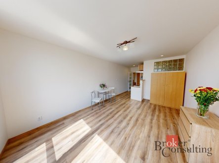 Pronájem bytu, 1+kk, 28 m²