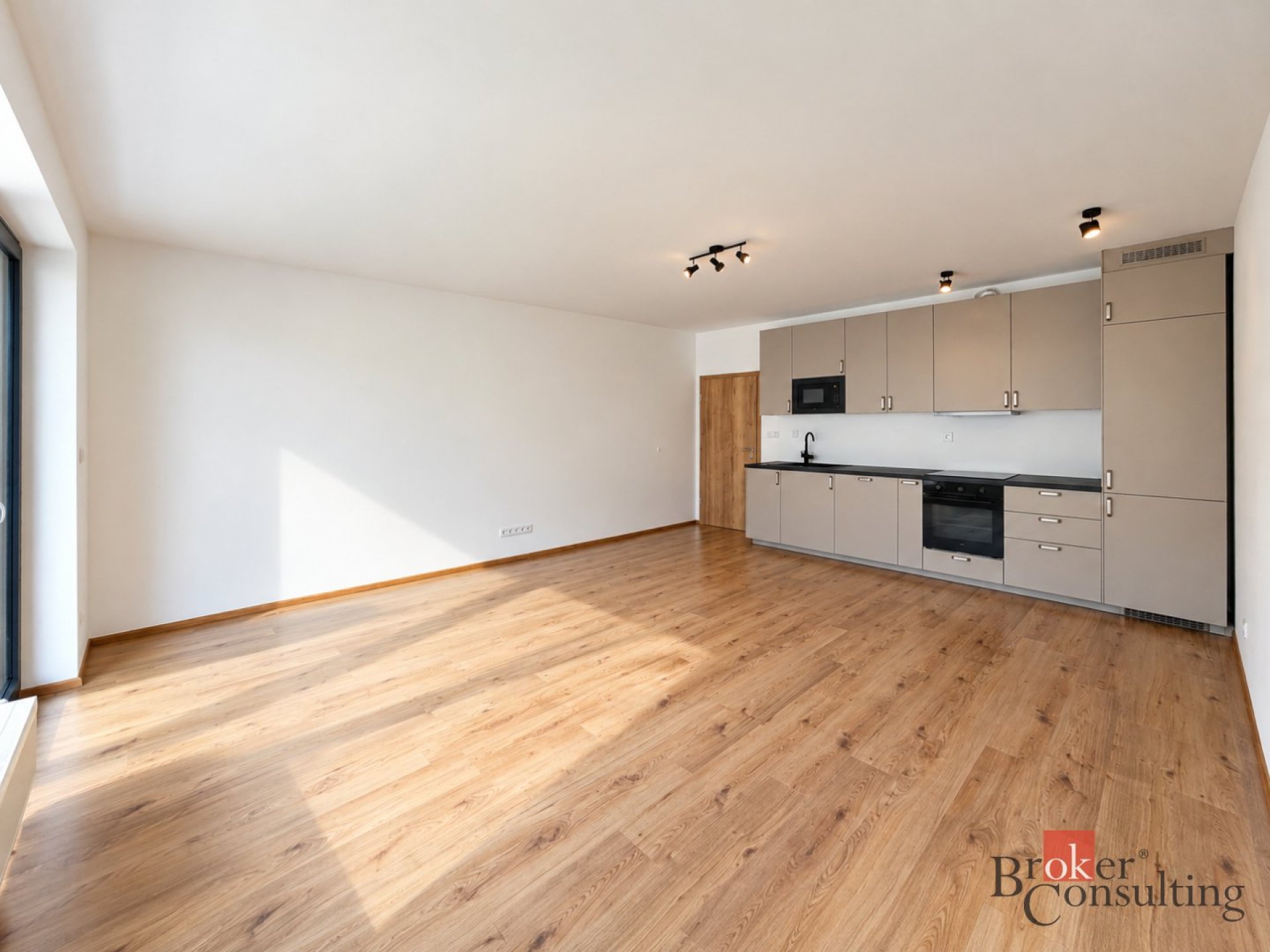 Pronájem 2+kk, 56 m2 s lodžií 7 m2, ulice Železná 22, Plzeň