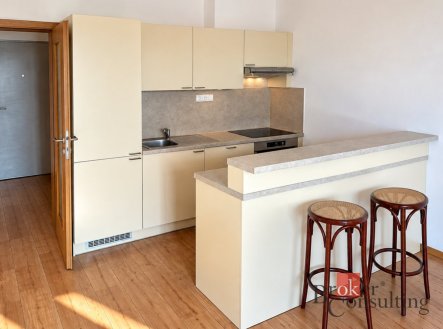 Pronájem bytu, 2+kk, 67 m²