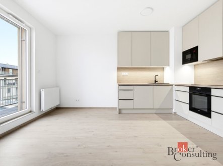 Pronájem bytu, 2+kk, 58,4 m²