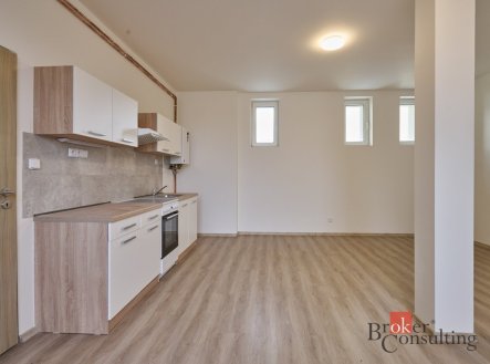 Pronájem bytu, 1+kk, 43 m²