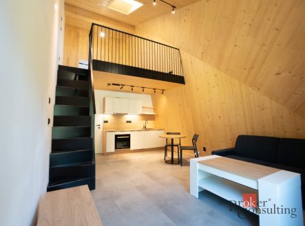 Pronájem bytu, 2+kk, 53 m²