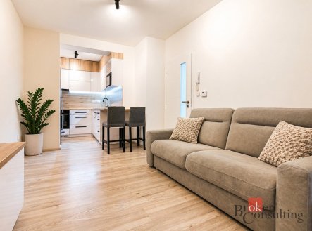 Prodej bytu, 1+kk, 42 m²