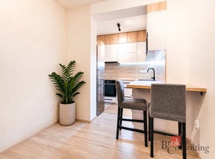 Prodej bytu, 1+kk, 42 m²