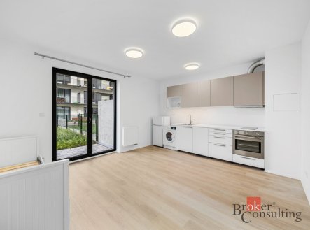Pronájem bytu, 1+kk, 28 m²