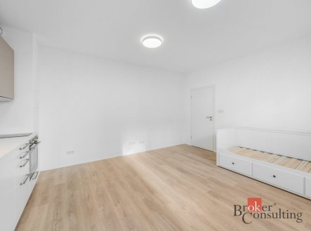 Pronájem bytu, 1+kk, 28 m²