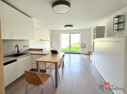 Pronájem bytu, 1+kk, 31 m²
