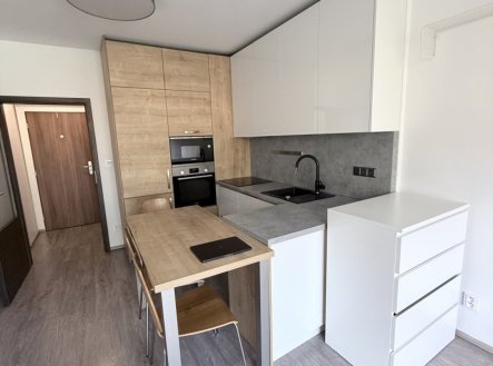 Pronájem bytu, 1+kk, 31 m²