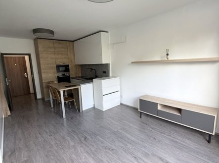 Pronájem bytu, 1+kk, 31 m²