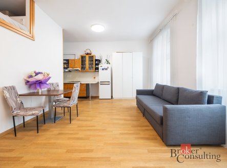 Prodej bytu, 1+kk, 30 m²
