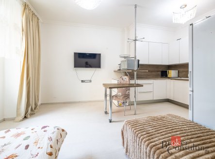 Prodej bytu, 1+kk, 35 m²